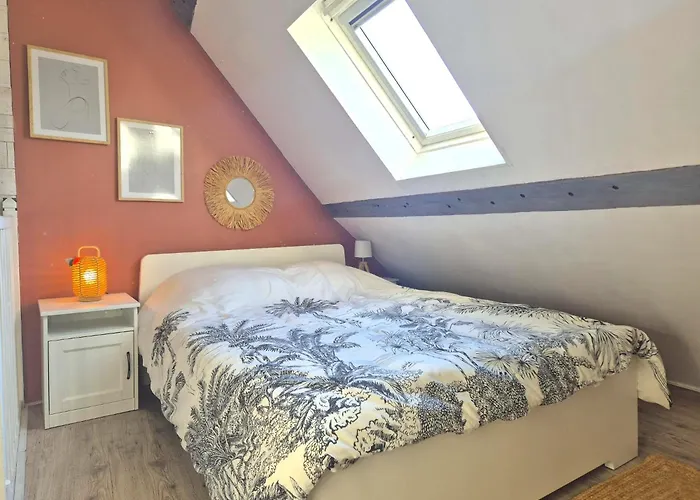 Les Toits De - Parvis De La Cathedrale * Laon